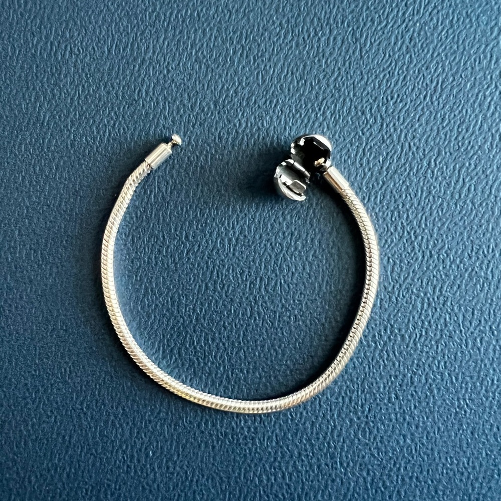 Pandora charm bracelet